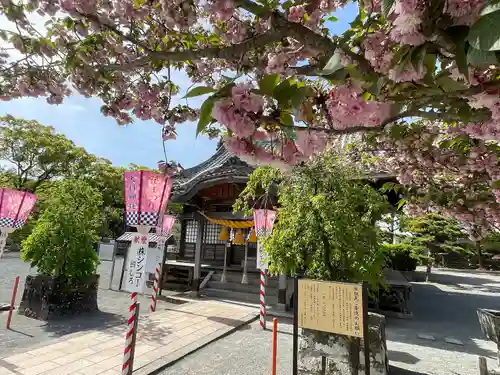 大村神社の本殿・本堂