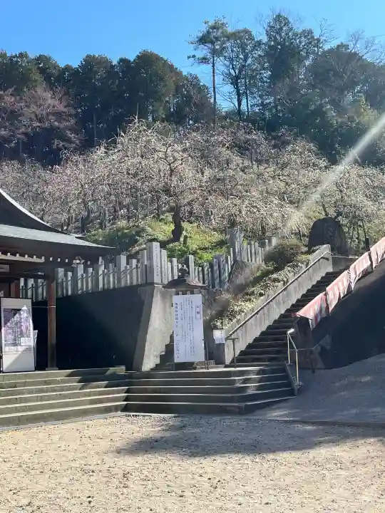 大縣神社の{uncategorized: "未分類", other: "その他", undefined: "問題あり", building: "その他建物", grave: "お墓", sacred_gate: "鳥居", guardian: "狛犬", statue: "像", buddha: "仏像", history: "歴史", nature: "自然", garden: "庭園", animal: "動物", pagoda: "塔", temizu: "手水舎", mountain_gate: "山門・神門", sanctuary: "本殿・本堂", subordinate: "末社・摂社", art: "芸術", scenery: "景色", jizo: "地蔵", ema: "絵馬", goshuin: "御朱印", omikuji: "おみくじ", items: "授与品その他", amulet: "お守り", goshuincho: "御朱印帳", eats: "食事", festival: "お祭り", votive_dance: "神楽", shichigosan: "七五三参", wedding: "結婚式", experience: "体験その他", initially: "初詣", around: "周辺", anti_infection: "感染症対策"}