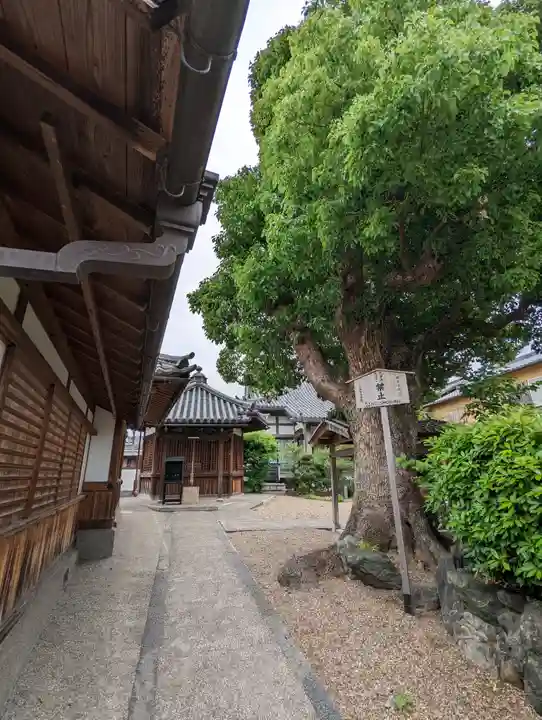 恋塚浄禅寺(京都府)