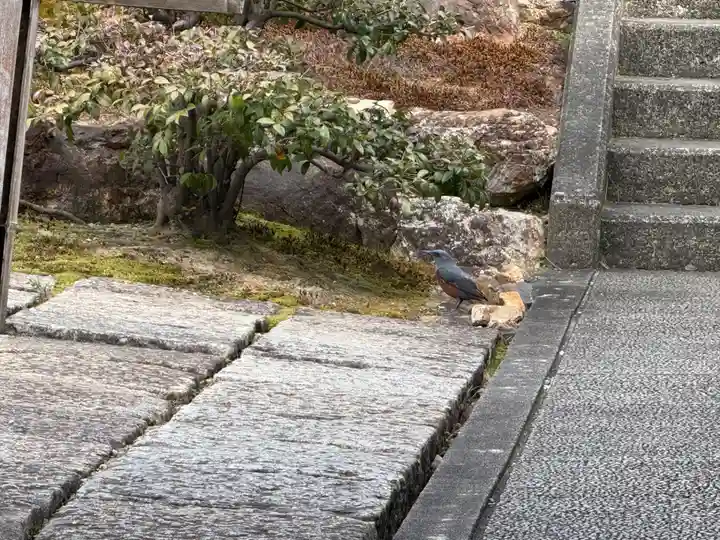 西方山極楽寺(岐阜県)