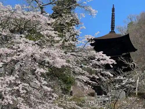 国宝 大法寺の塔