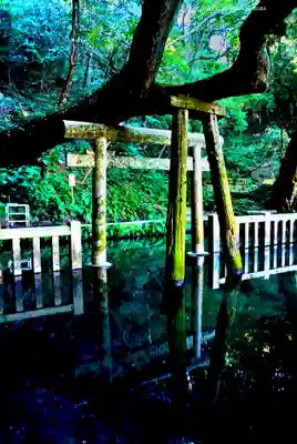 奥宮(鹿島神宮摂社)(茨城県)
