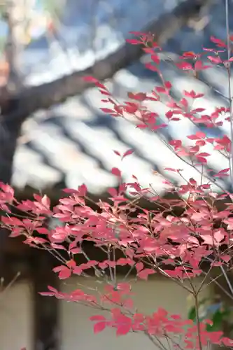 調神社(埼玉県)