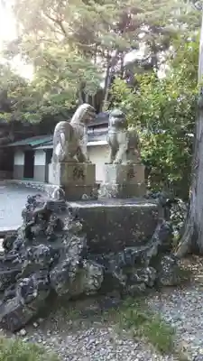 神戸大井神社の狛犬