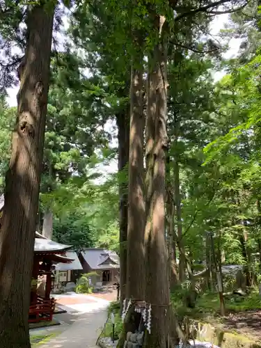 富士山東口本宮 冨士浅間神社のその他建物