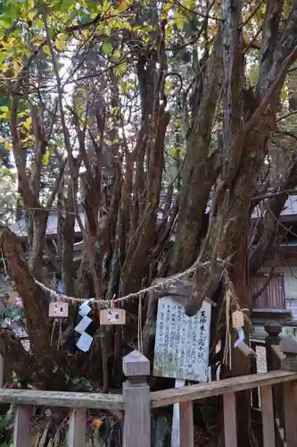 幣立神宮(熊本県)