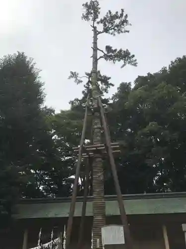 荻窪八幡神社の自然