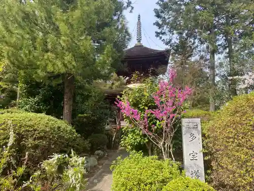 久米寺(奈良県)