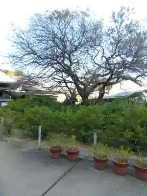 了仙寺(静岡県)