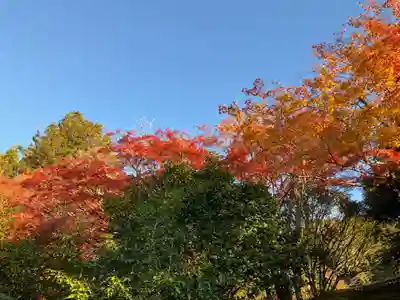 霊鑑寺門跡(京都府)