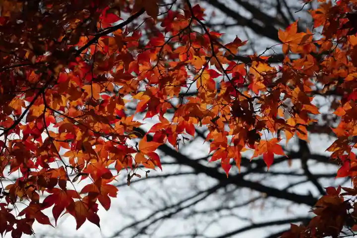 高野山金剛峯寺奥の院(和歌山県)