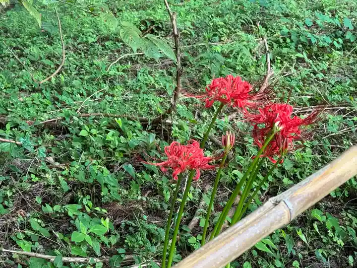 丹生都比売神社(和歌山県)