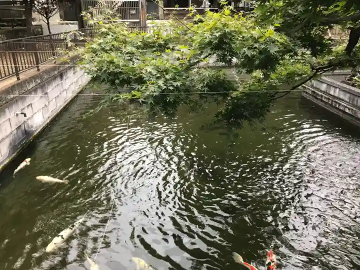 鮫州八幡神社の庭園