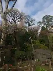 東長谷寺　薬王院(東京都)