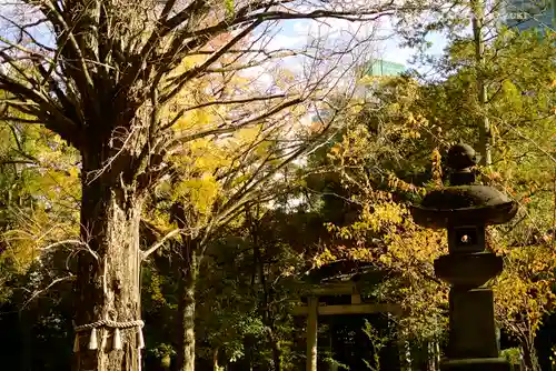 赤坂氷川神社のその他建物