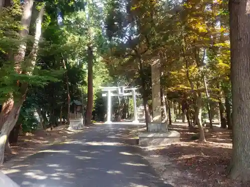 虫生神社の鳥居