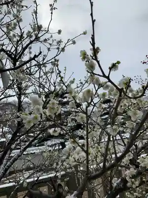 赤嵜神社の自然