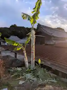 全忠寺(愛知県)(2025年12月03日(水) 18時23分16秒投稿)