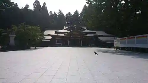 盛岡八幡宮の本殿