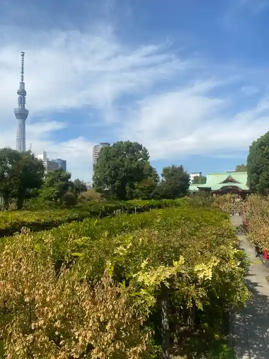亀戸天神社(東京都)