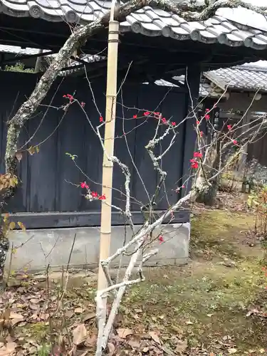 東慶寺のその他建物
