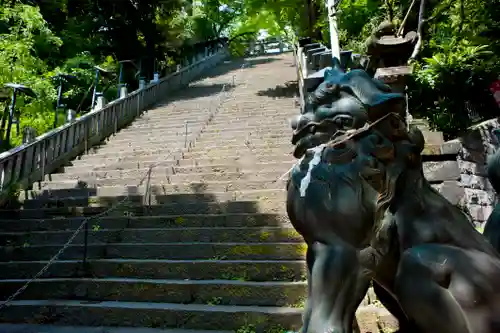 愛宕神社の狛犬