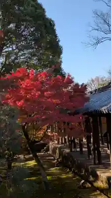 東福禅寺(東福寺)(京都府)