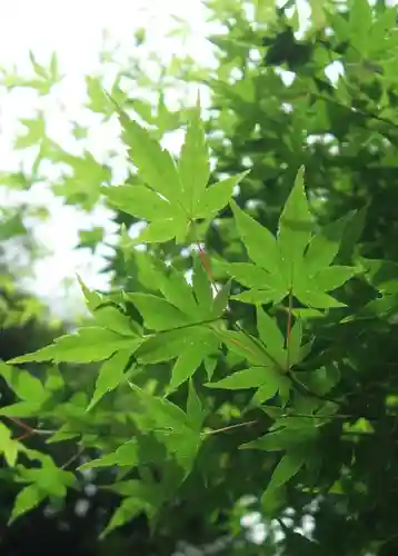 星田妙見宮(大阪府)