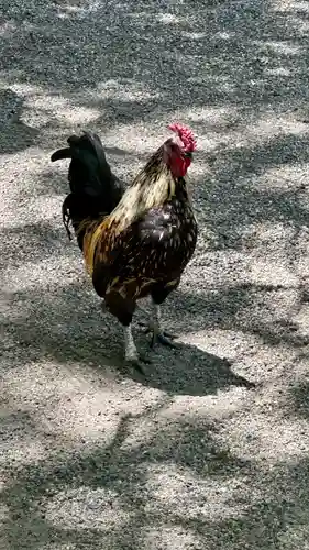 石上神宮(奈良県)