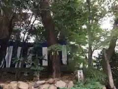 安居神社の自然