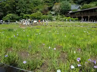 本土寺(千葉県)