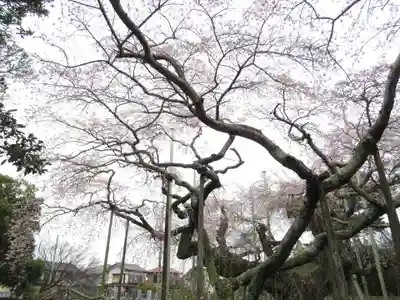 般若院(茨城県)