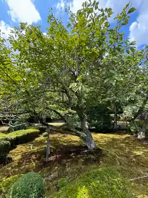 正福寺(滋賀県)