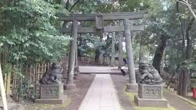 渋谷氷川神社の鳥居
