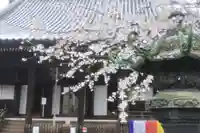 寛永寺(根本中堂)(東京都)