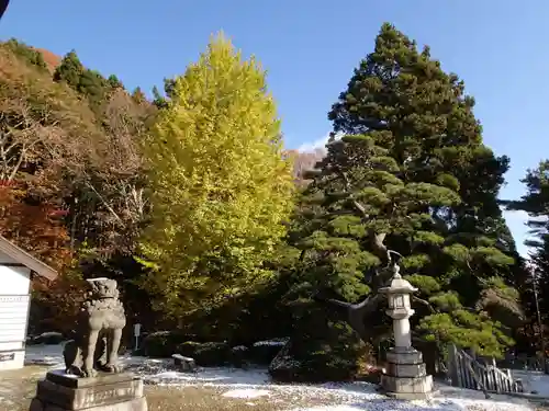 函館八幡宮の自然