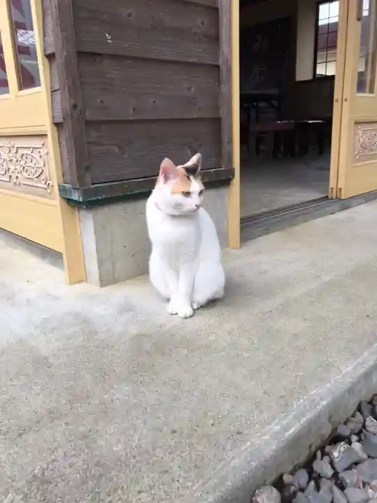 矢奈比賣神社(見付天神)の動物