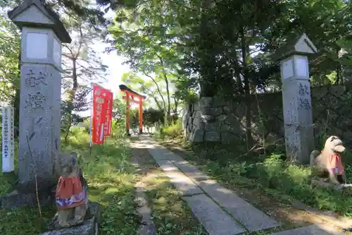 篠葉沢稲荷神社の狛犬