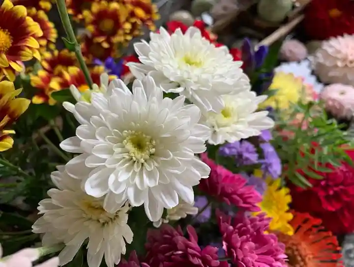 滑川神社 - 仕事と子どもの守り神の手水舎
