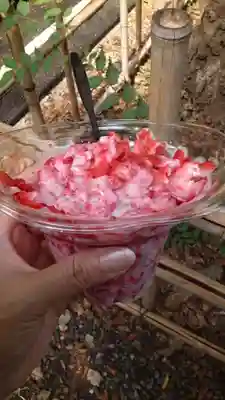 大國魂神社(東京都)