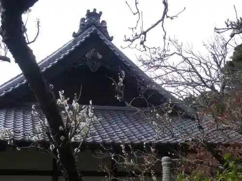 浄光明寺の自然