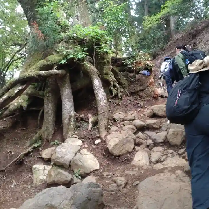 大山阿夫利神社本社(神奈川県)