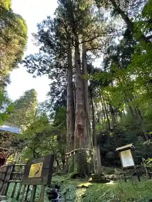 御岩神社(茨城県)