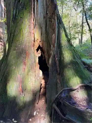 戸隠神社奥社(長野県)