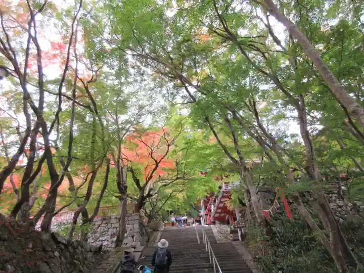 談山神社の自然