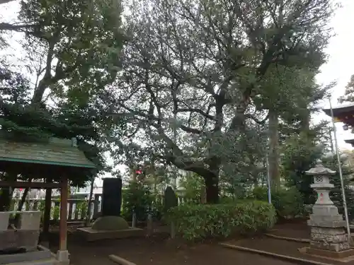山王稲穂神社の自然