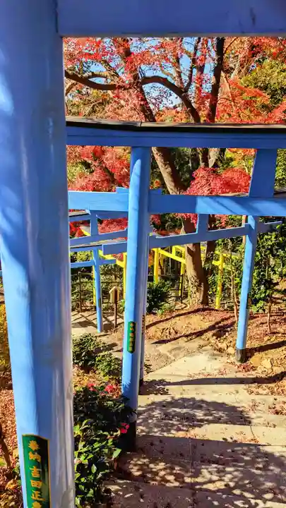 足利織姫神社の鳥居