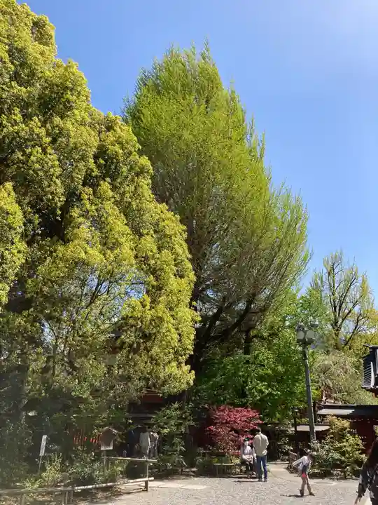 秩父神社の庭園