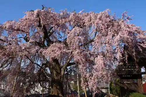 長興寺の庭園