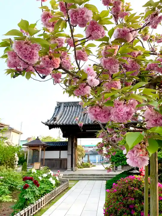 龍華寺のその他建物